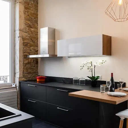 Dify Lumiere - Massena 公寓 里昂